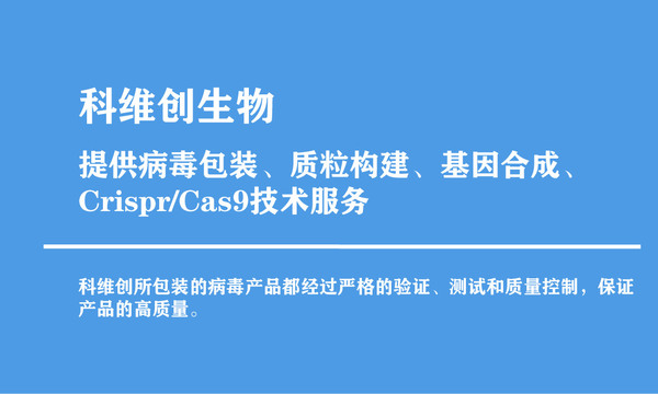 基因合成 oligo 科维创病毒包装